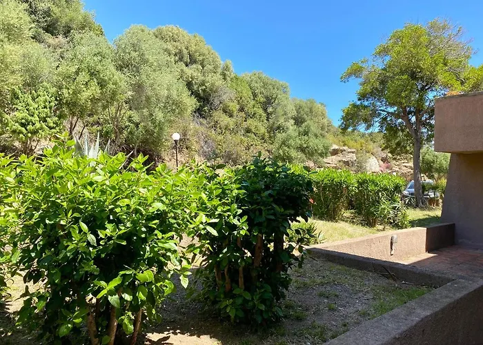 Astra Cinematic House Daire *